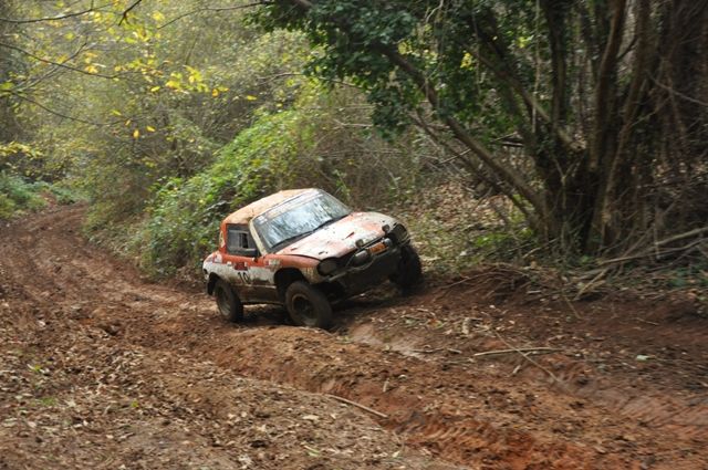 DSC_0509.jpg