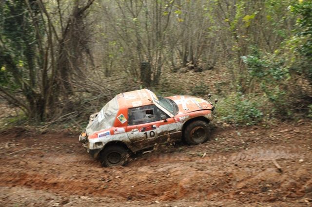 DSC_0513.jpg