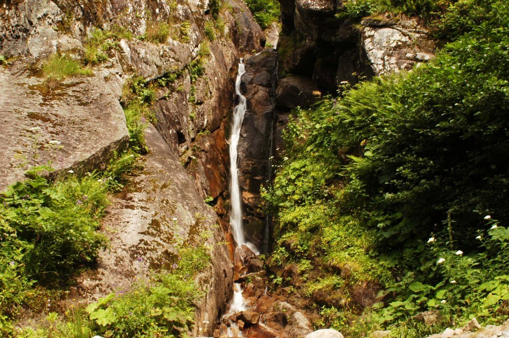 DSC_0513.jpg