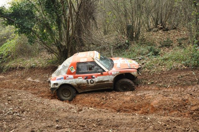 DSC_0517.jpg