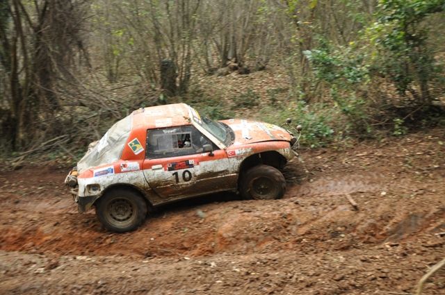 DSC_0519.jpg