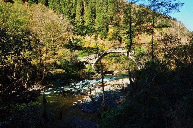 DSC_0525.jpg