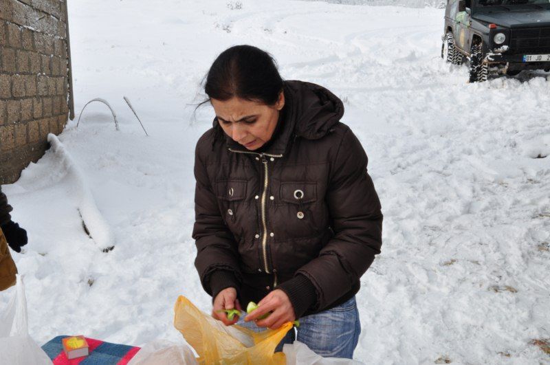 DSC_0526 [800x600].jpg