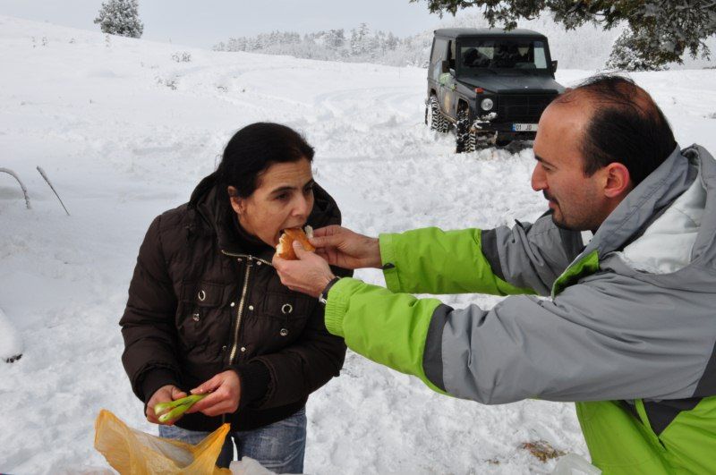 DSC_0528 [800x600].jpg