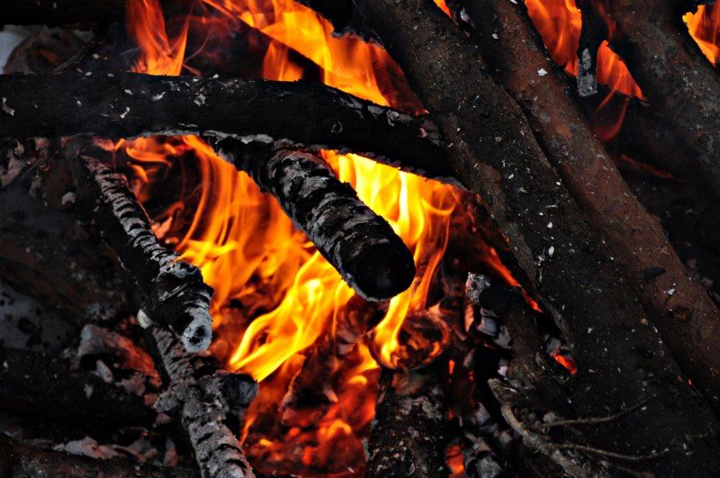 DSC_0542 [800x600].jpg