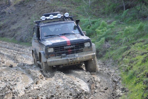 DSC_0545.jpg
