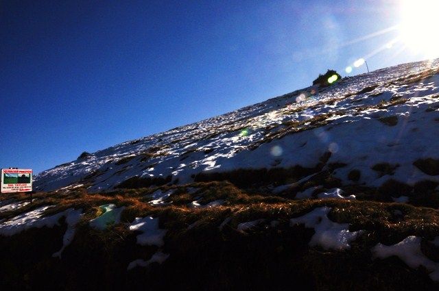 DSC_0563.jpg