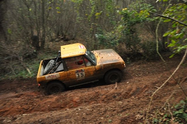 DSC_0564.jpg