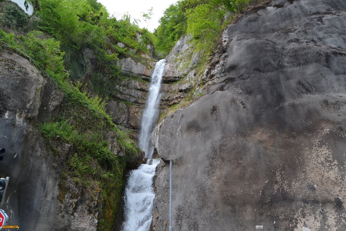 DSC_0568.JPG