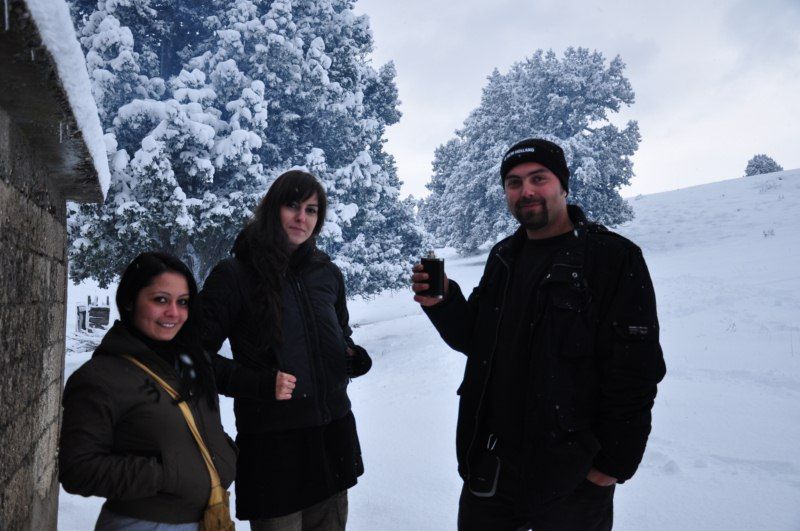 DSC_0590 [800x600].jpg