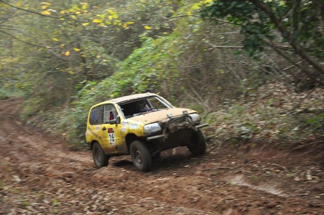DSC_0594.jpg