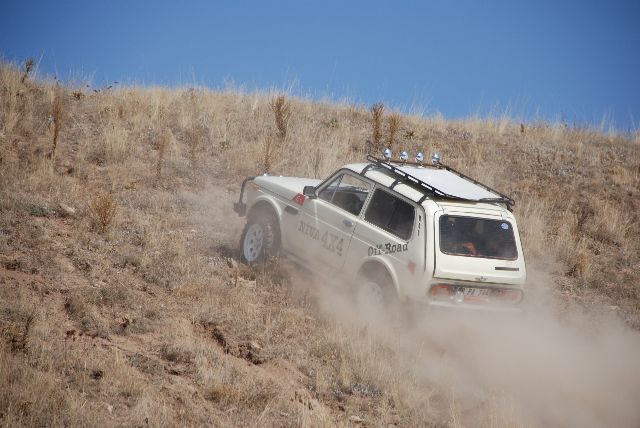 DSC_0595.jpg