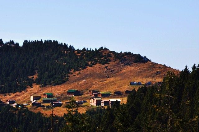 DSC_0598.jpg