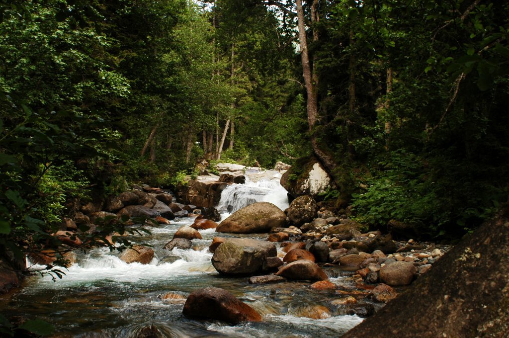 DSC_0598.jpg