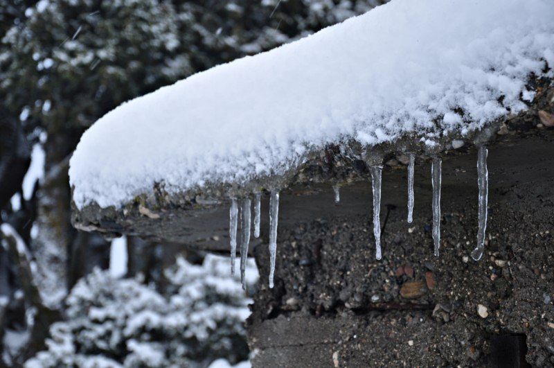 DSC_0599 [800x600].jpg