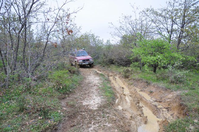 DSC_0600.jpg