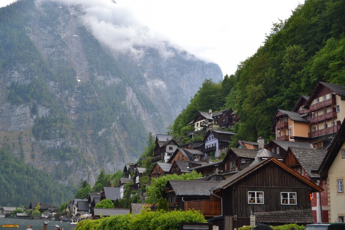 DSC_0602.JPG