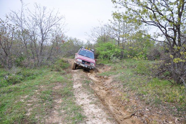 DSC_0603.jpg