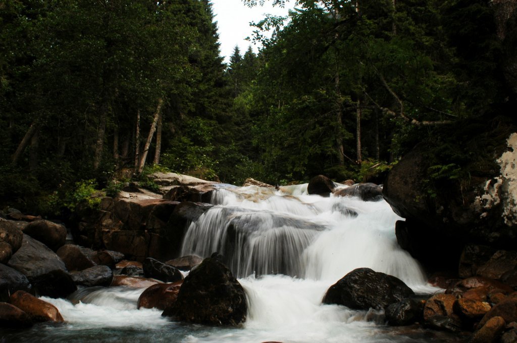 DSC_0605.jpg