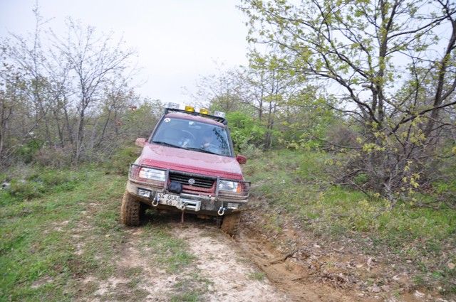 DSC_0609.jpg