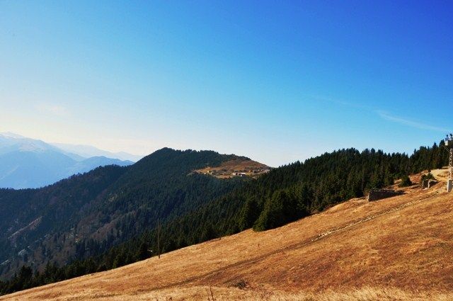 DSC_0609.jpg