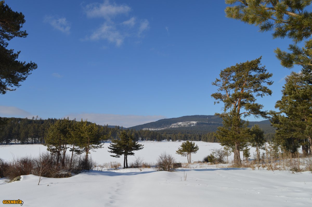 DSC_0620.JPG