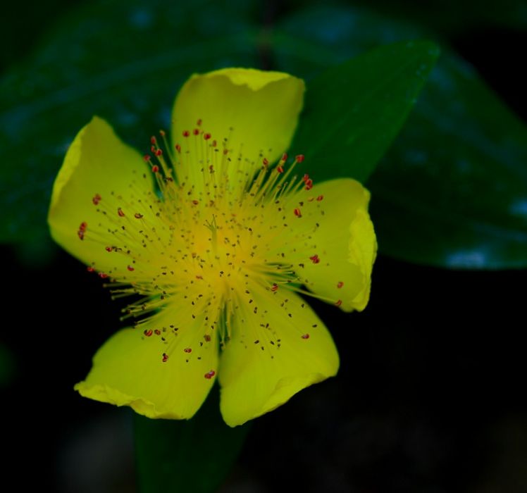 DSC_0621.jpg