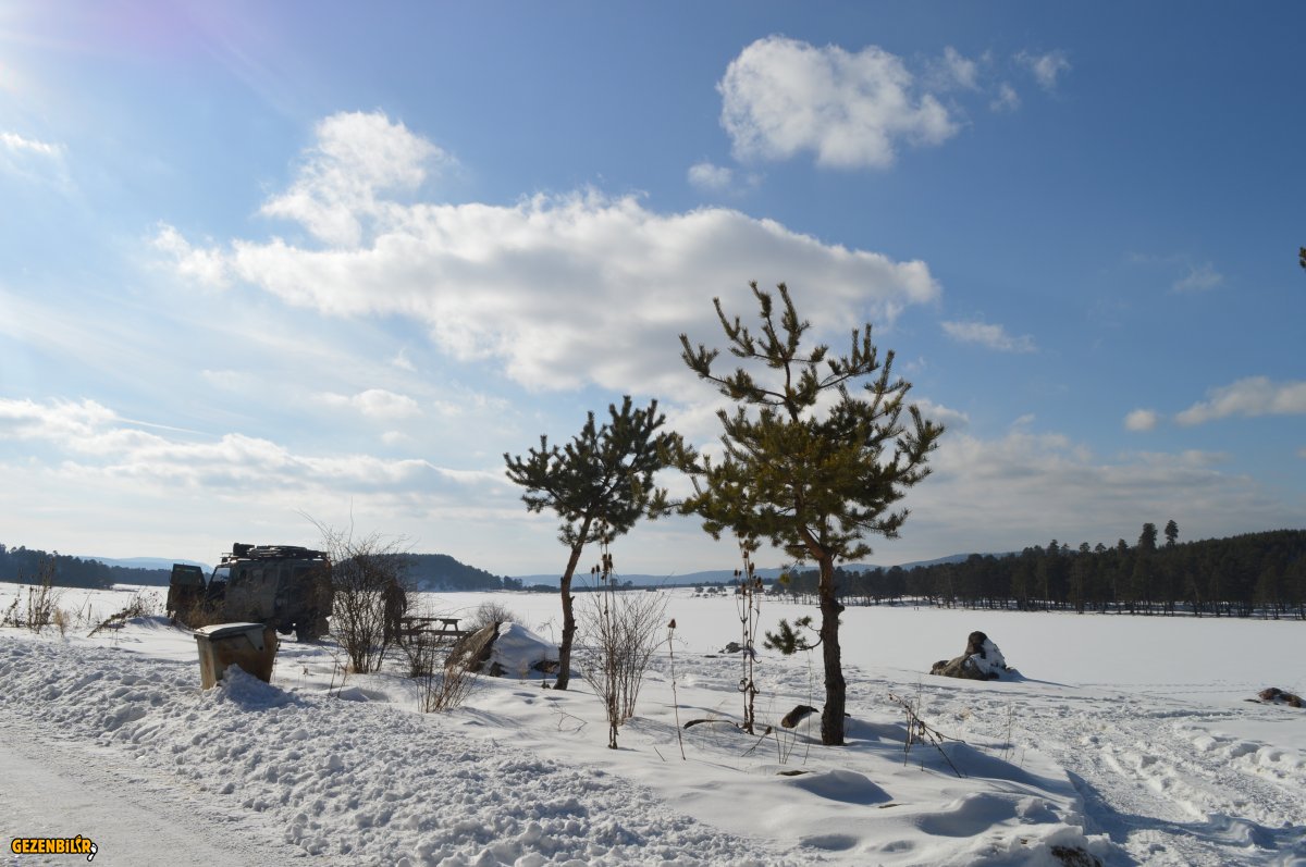 DSC_0625.JPG