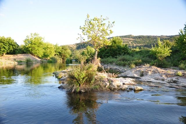 DSC_0628.jpg