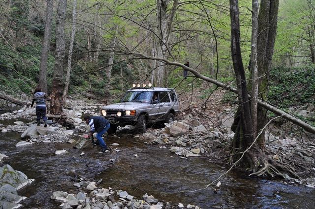 DSC_0637.jpg