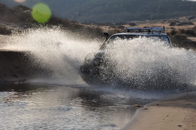 DSC_0638.jpg