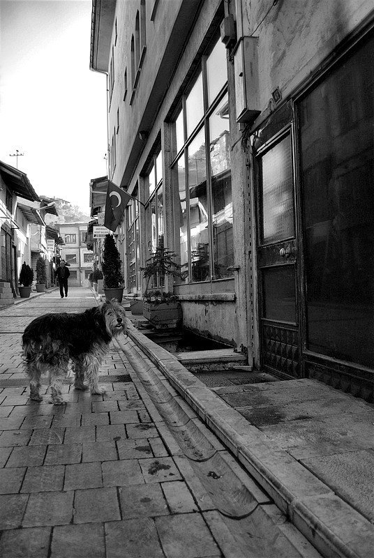 DSC_0665_fhdr.jpg