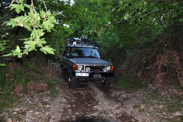 DSC_0686.jpg