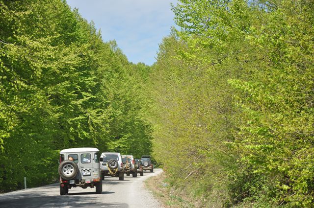 DSC_0690.jpg