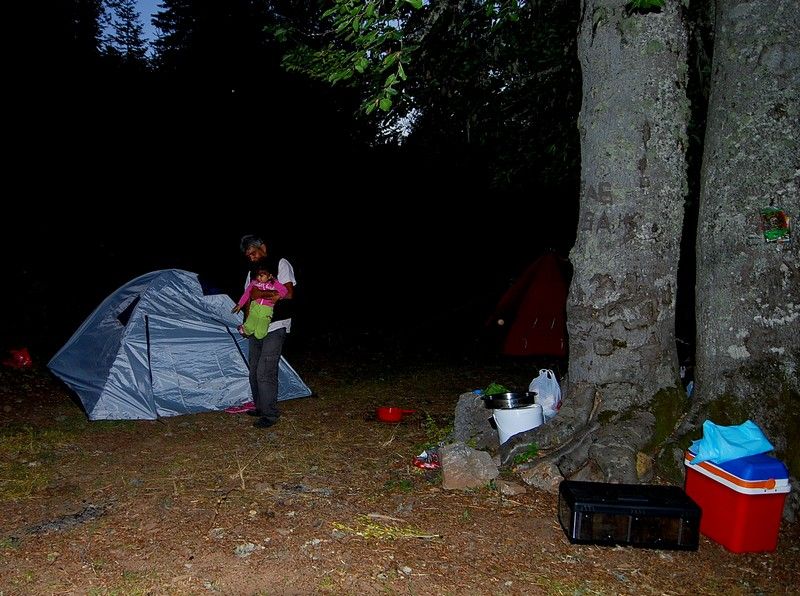 DSC_0702.jpg