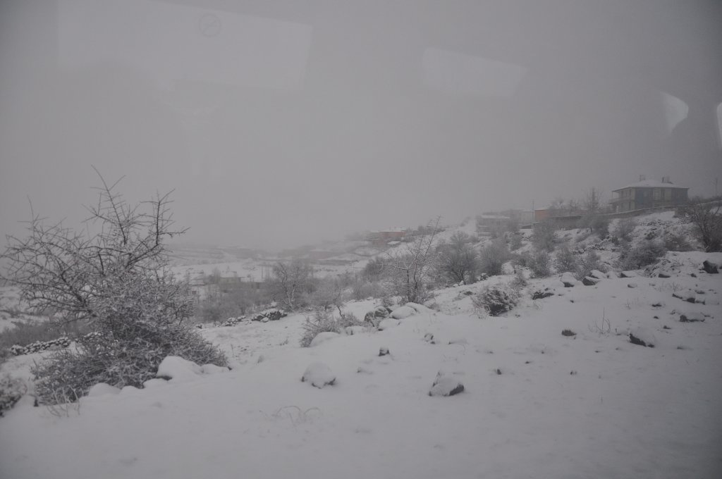 DSC_0706.JPG