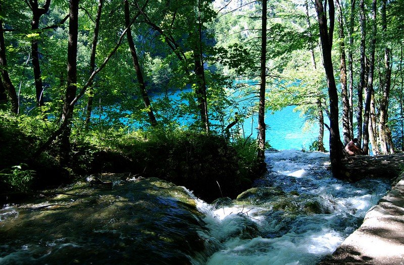 DSC_0724.JPG