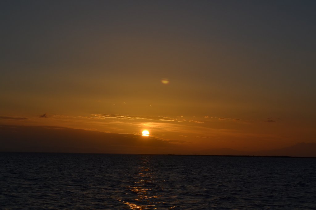 DSC_0724.JPG