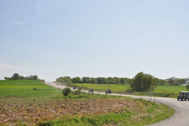 DSC_0725.jpg