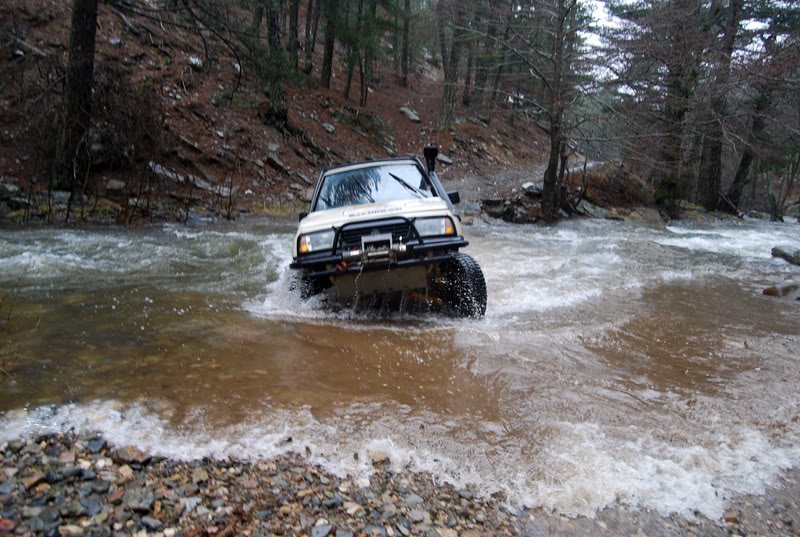 DSC_0732.jpg