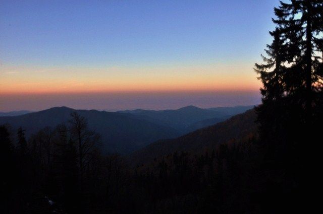 DSC_0748.jpg