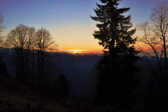 DSC_0758.jpg