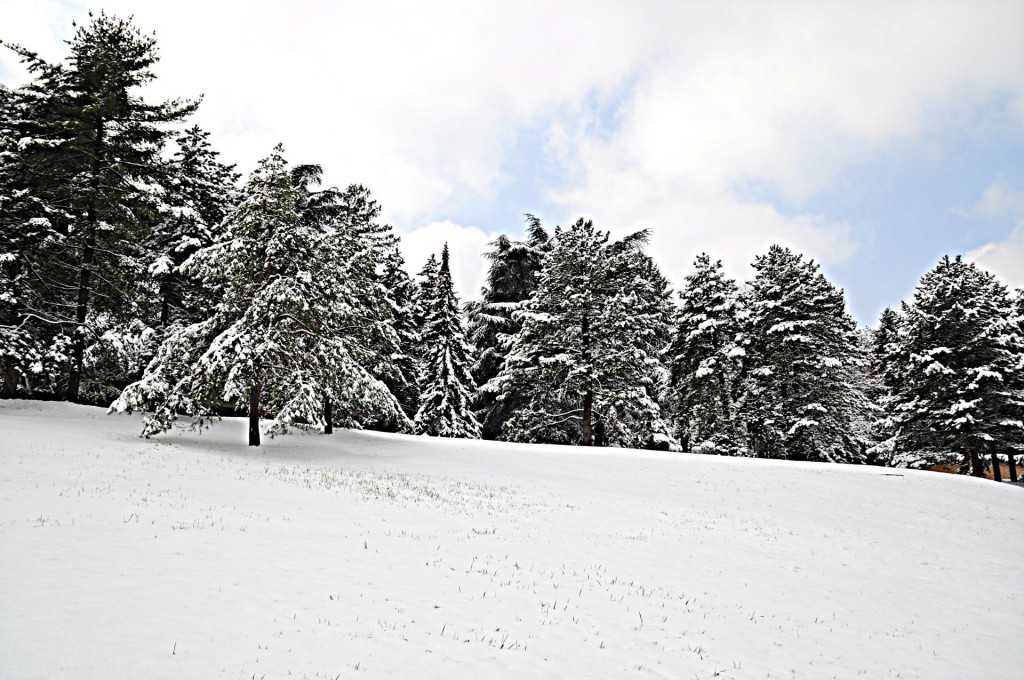 DSC_0771-001.JPG