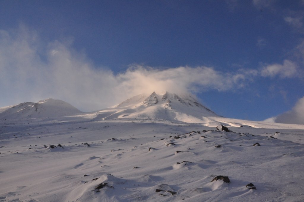 DSC_0776.JPG