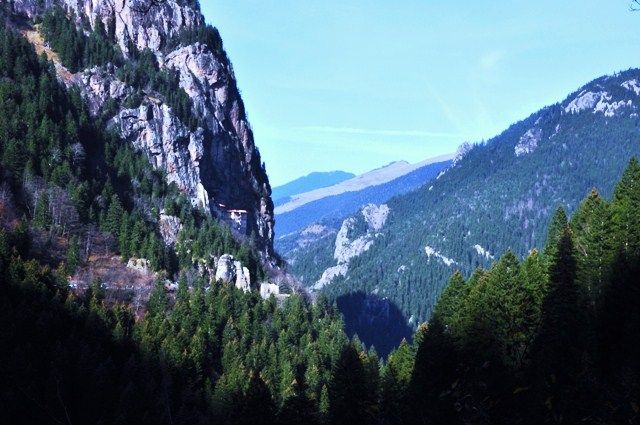 DSC_0783.jpg