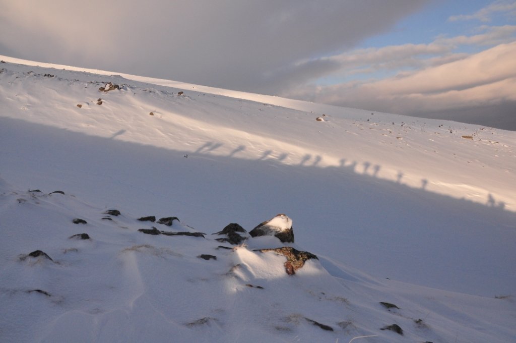 DSC_0784.JPG