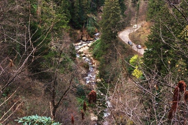 DSC_0785.jpg