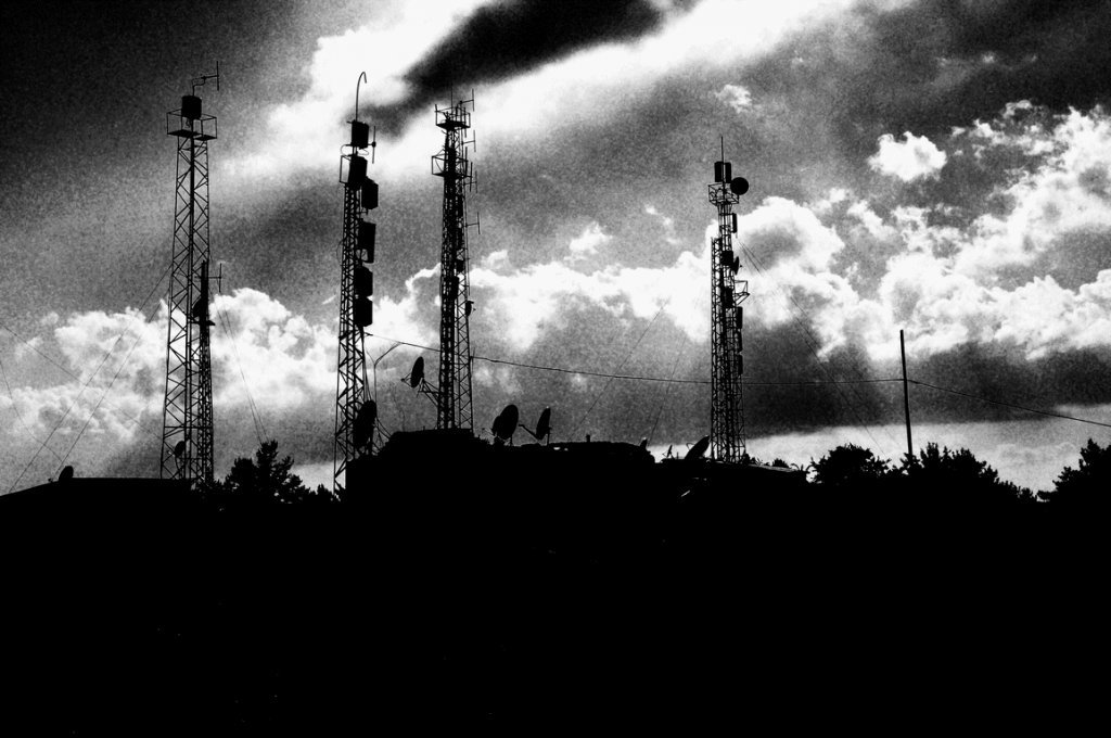 DSC_0786.gif