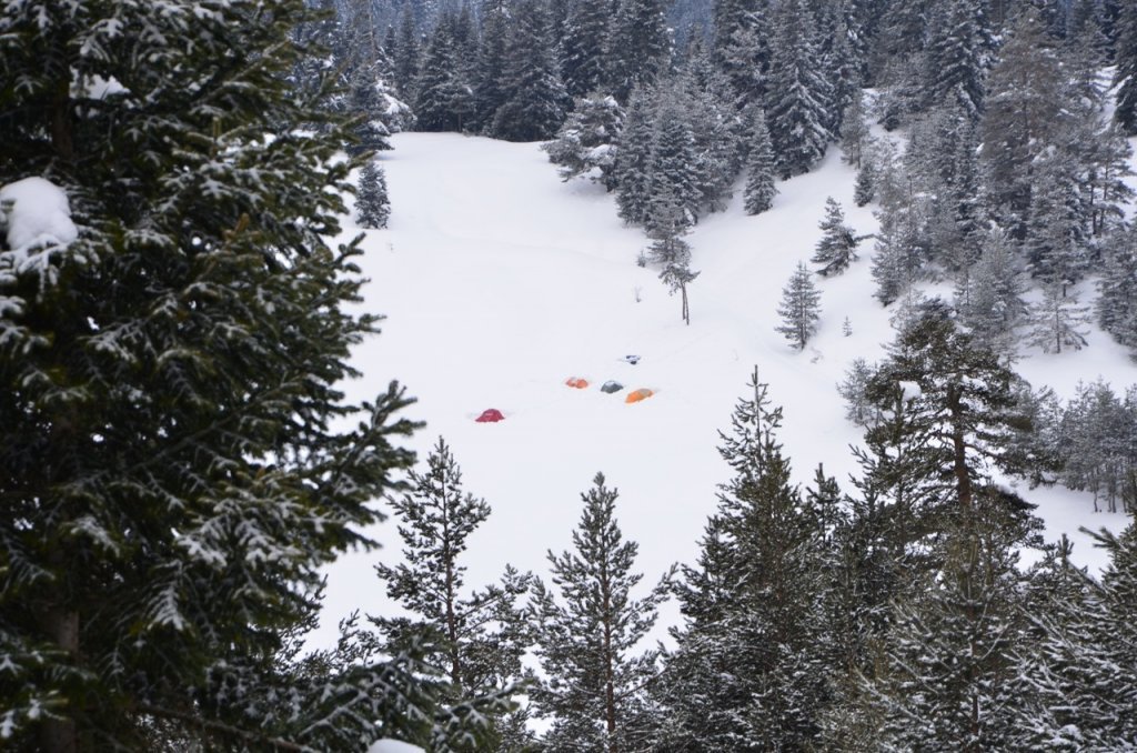 DSC_0801.jpg