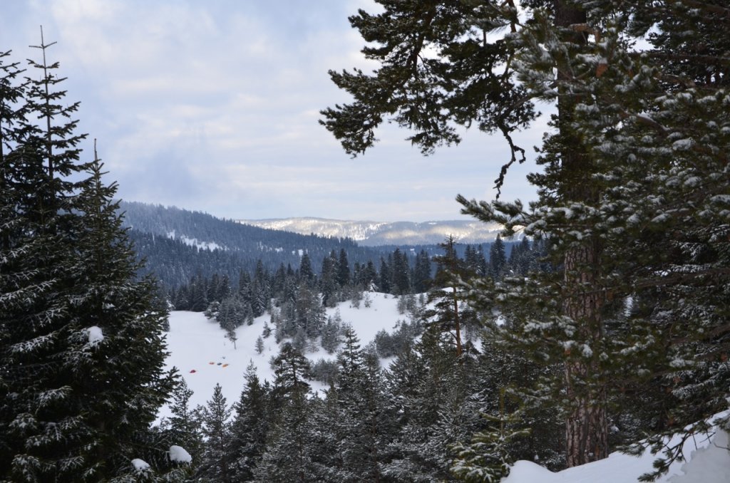 DSC_0804.jpg
